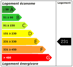 Consomation énergie : 231